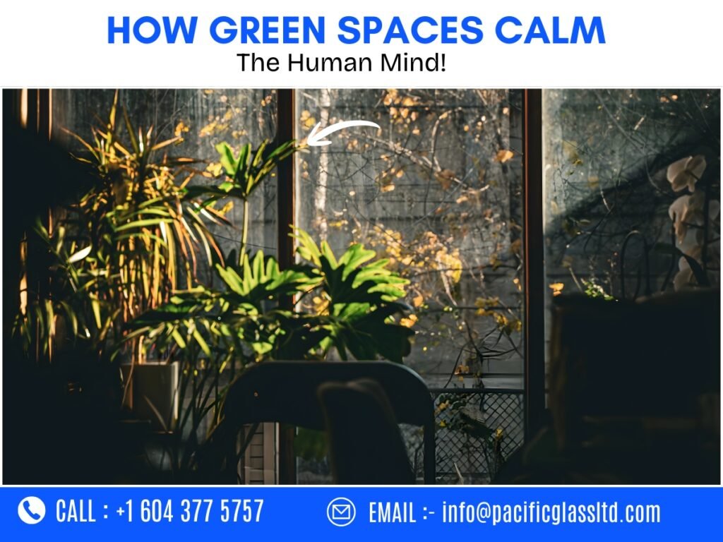 Human emotional response to indoor green environment with natural light and plants