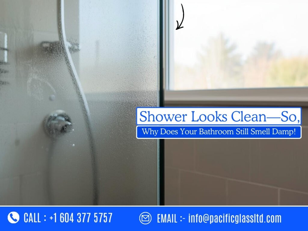 Bathroom Smells Damp Despite Clean Shower in Burnaby Home